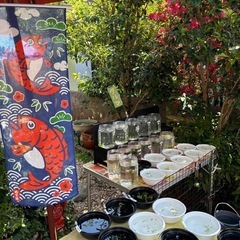 🉐GWセール🉐5月3日(土)〜6日(火)  めだか無人販売　ダル...