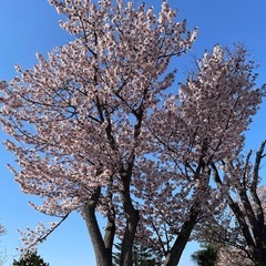走る仲間作りしてます。