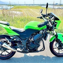 Ninja250Rの画像