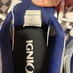 体育館シューズの画像