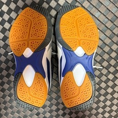 体育館シューズの画像