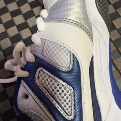 体育館シューズの画像