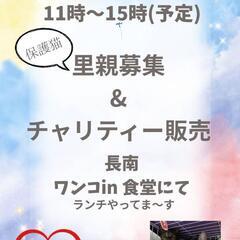 5月４日ワンコin食堂にて譲渡会開催
