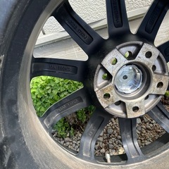 
ゴジゲン ファイヤーボール＋ブリジストン vrx3 の画像
