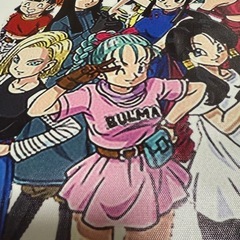 ドラゴンボール アートポスター A3 ヒロインの画像