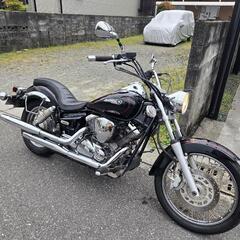 ドラッグスター250 自賠責保険付き 軽整備しました！