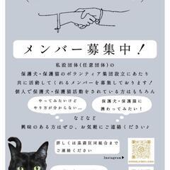 黒猫狂同組合メンバー大募集～‼️