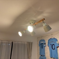 照明　スポットの画像