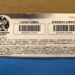 ファンタジーキッズリゾート招待券1枚の画像