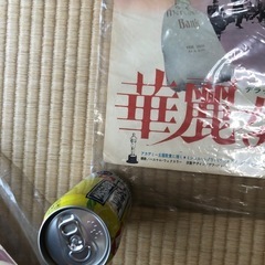映画華麗なる賭け　封切り当時ポスターの画像