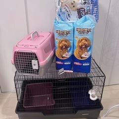 フェレット 飼育セット <ケージ•水飲み•トイレ•キャリー•ペッ...