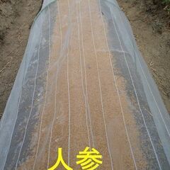 天日干し稲わら1括り（12束）と籾殻３０ℓを2セットの画像