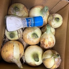 新玉ねぎ
