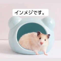 大きな扉のショコラハウス+ ハムスター ハウス 隠れ家 寝床 陶器 ピンクの画像