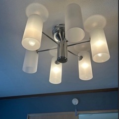 照明ライト 決定しました