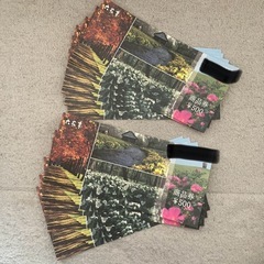 六花亭 引換券