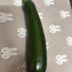 【決まりました】ズッキーニ【野菜】