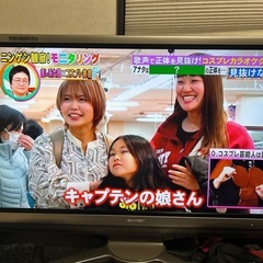 シャープデジタルTV最安値！