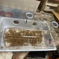 GW限定！未使用品ハムスターゲージ
