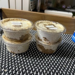 パラワンオオヒラタクワガタ幼虫
