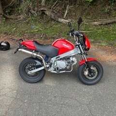 ホンダモンキーrロンシンエンジン125ccドゥカティモンスター仕様の画像