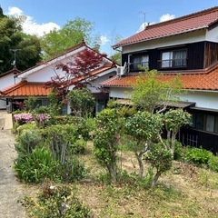 植栽剪定、刈りそろえ、透かし剪定、伐採