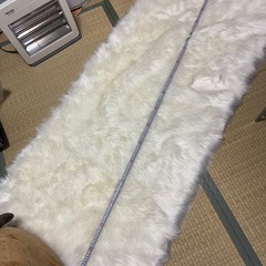 カーペット枚