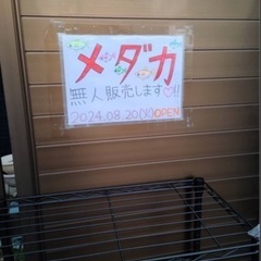 小さなメダカ無人販売