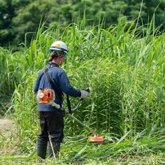 草刈り！片付け！なんでも、ご相談ください　宮城県内対応可能