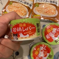 犬　缶詰の画像