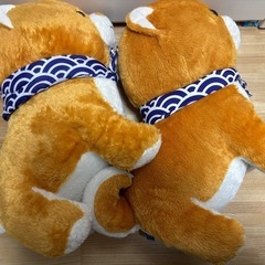 豆しば三兄弟♡の画像