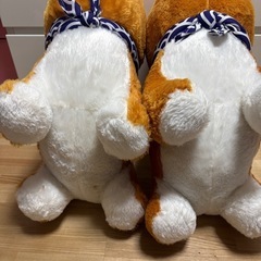 豆しば三兄弟♡の画像