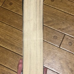 激レア 津雲むつみ 傑作選 Vol.21 【オーロラの見える日】本当に泣ける話 9月号増刊の画像