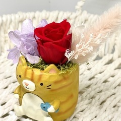 ねこのフラワーアレンジメント♡の画像
