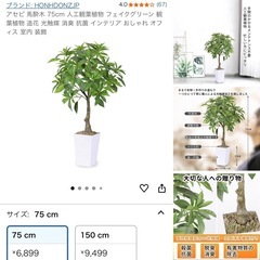 観葉植物 フェイクグリーン 【大型】 幸福の木とアセビのセットの画像