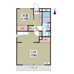 🌈💸 敷金＆礼金ゼロ🎁 フリーレント1ヶ月で初期費用を大幅カット...