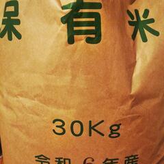 きぬむすめ玄米30キロR6年度