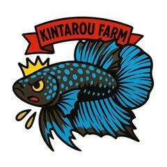 ●ピンクラムズホーン　10匹セット　貝🐚　コケ取りの画像