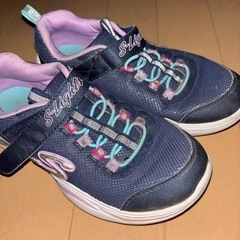 ピカ靴の画像