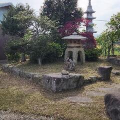 【草刈り】草刈り致します【無料見積り】 - 行橋市