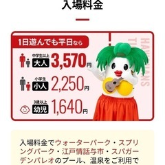スパリゾートハワイアンズ  入場券の画像