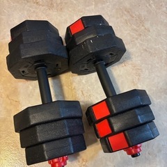 ダンベル【9.5kg×2】