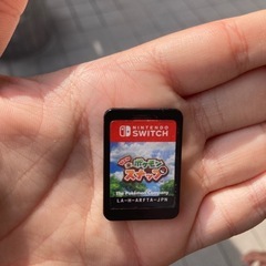 ポケモンスナップ Nintendo Switch ケース無し