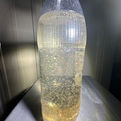 ⭐️ミジンコ⭐️増量中⭐️