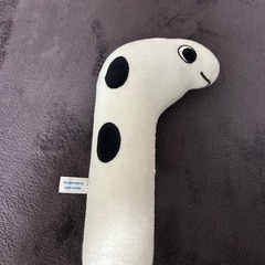 5/9迄 チンアナゴの画像