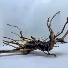 ブランチウッド 枝流木 約30cm