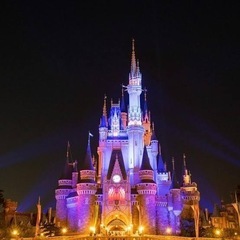 ディズニー好きと繋がりたい🏰