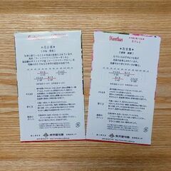 青しその種３袋 ＆ なでしこ・矢車草の種 各１袋まとめての画像