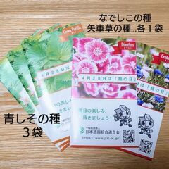 青しその種３袋 ＆ なでしこ・矢車草の種 各１袋まとめて