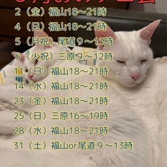 ５月おのテニ会（尾道ソフトテニスの会）2025 - メンバー募集